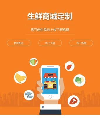 生鮮批發(fā)商城開(kāi)發(fā)水果商城系統(tǒng)定制積分拼團(tuán)系統(tǒng)公眾號(hào)制作-旺鋪貓