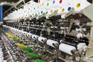 村企品牌化身網紅爆款,雙十一這家企業 拼 一把爭選蘇寧拼購村